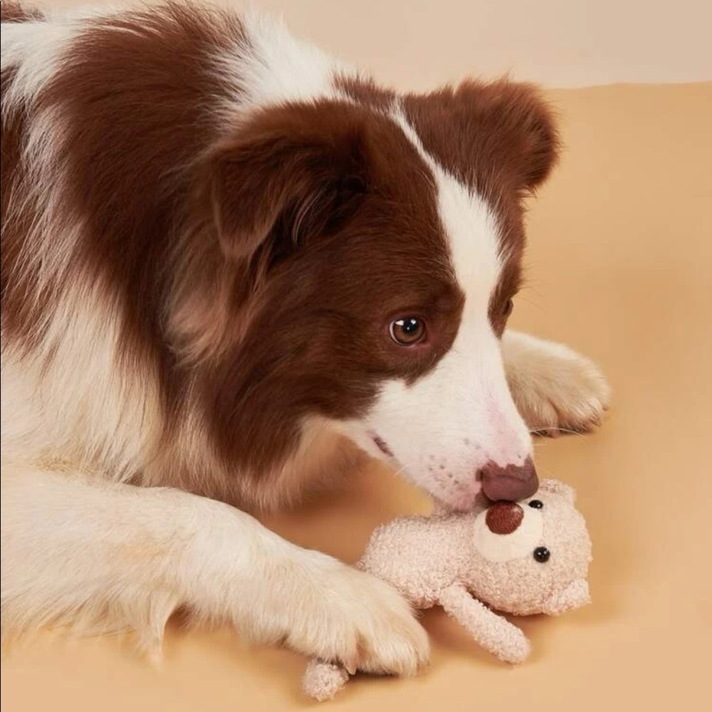 1pc Bear Design Pet Plush Toy 🐕